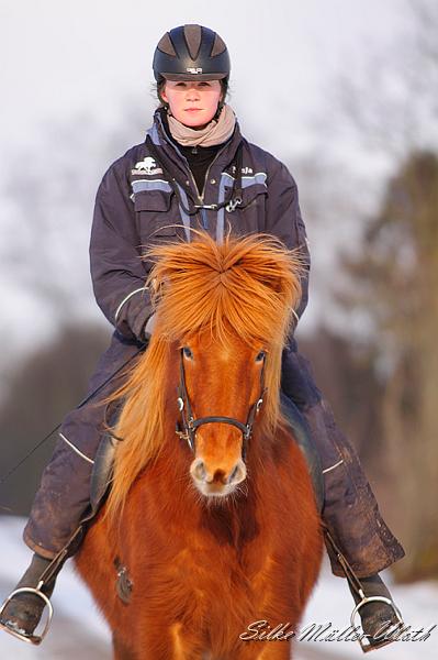 Draumey Verkaufspferd b.jpg - Ninja und Draumey